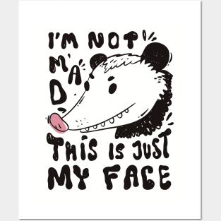 Funny possum quote Posters and Art